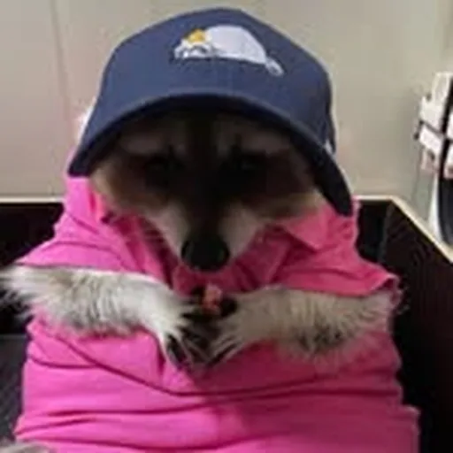 @vasilkan_ profile image