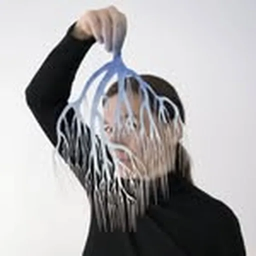@veroniquelpm profile image