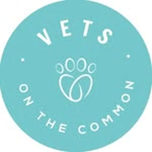 @vetsonthecommon profile image