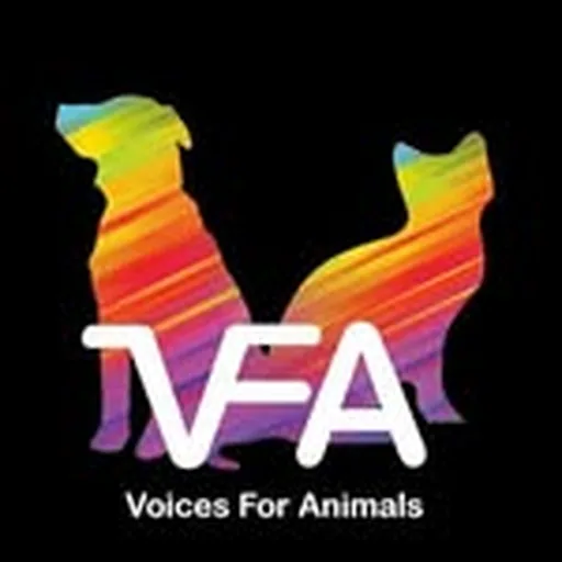@vfa_org_sg profile image