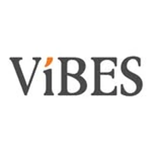 @vibes.tours profile image