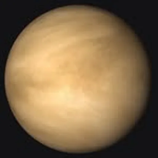 @victoriadelsel profile image