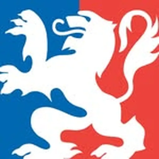 @villedelyon profile image