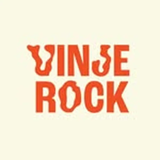 @vinjerock profile image