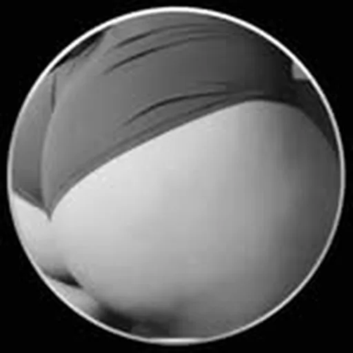 @wagonwednesdayzz profile image