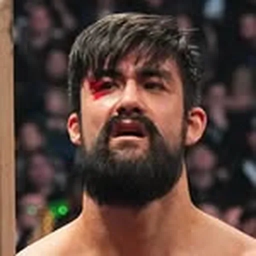 @wheeleryuta profile image