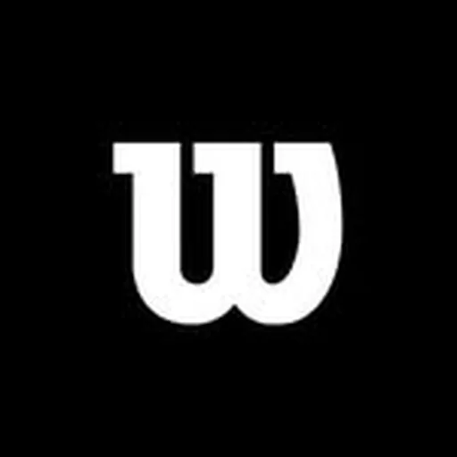 @wilson profile image