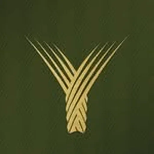 @yaamava profile image