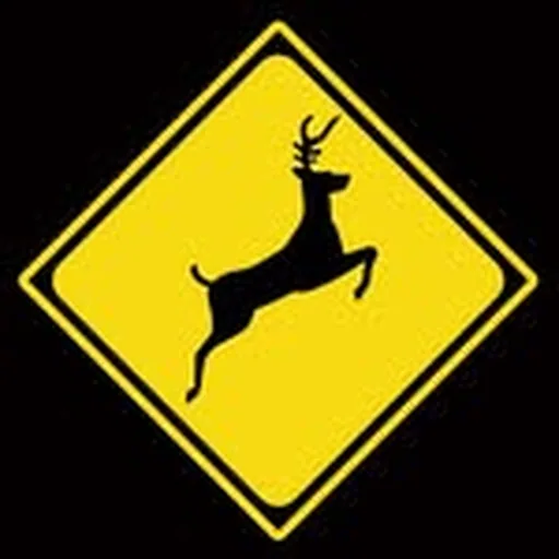 @yellowbucks profile image