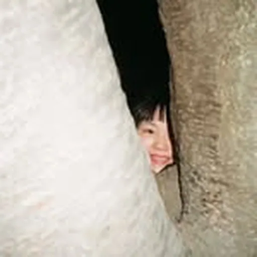 @yuri_horie_ profile image