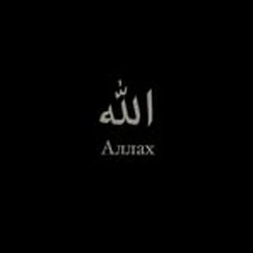 @zulaykhoofficial profile image